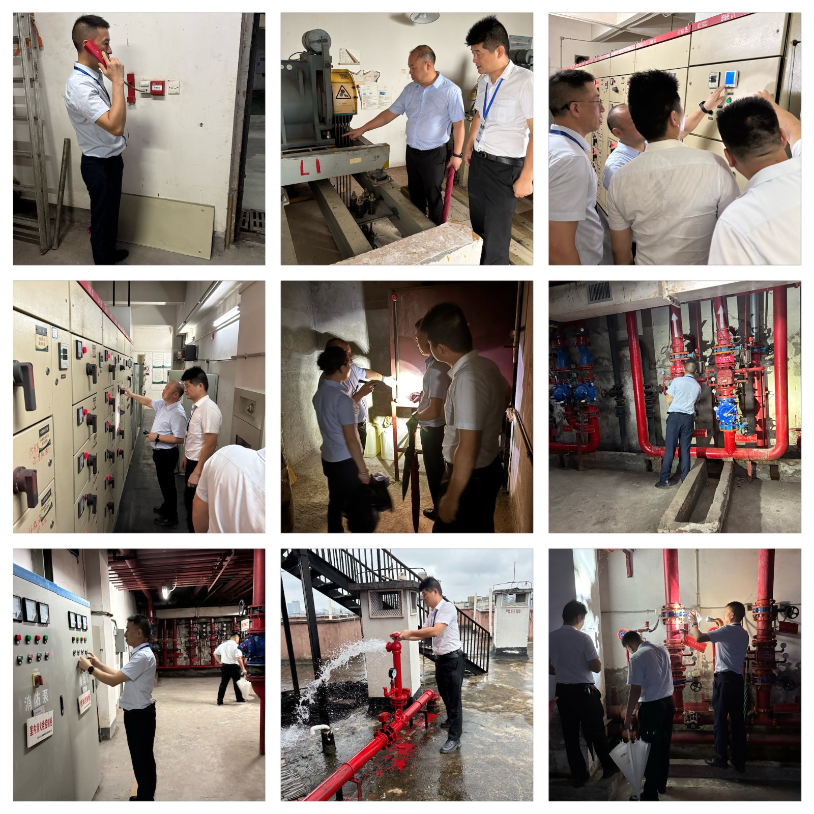 1759115380245832.jpg 26f175c3-409e-4843-85a2-f8eb2d177d9e.jpg